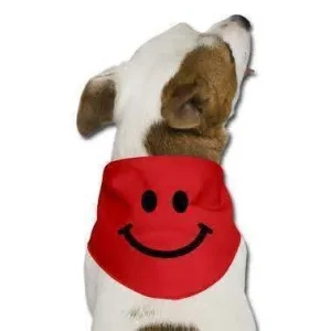 happy dog.webp