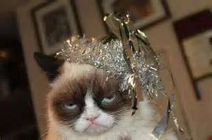 cat grumpy.webp