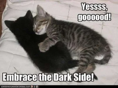 Embrace-the-Darkside-evil-31947077-500-374.webp