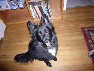 image.webp