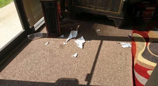 Office Carnage.webp