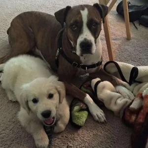 Kaz and bristol.webp