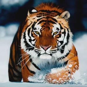 running-tiger.webp
