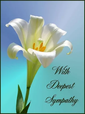 with-deepest-sympathy-kristin-elmquist.webp with-deepest-sympathy-kristin-elmquist.webp