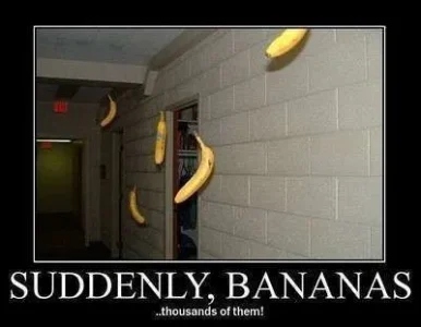 ihasafunny-pictures-bananas.webp