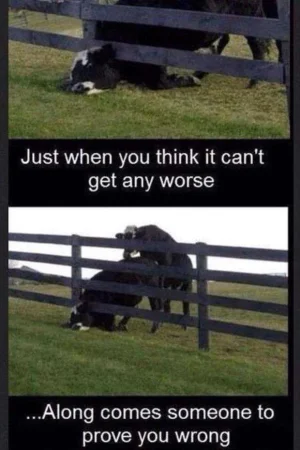 having-a-bad-day-funny-pictures-16.webp