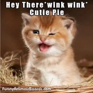 image.webp