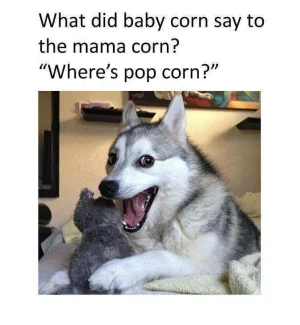 11825070_1019176981435747_6736259120177102184_n.webp