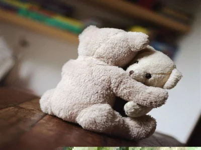 Hug_bears.webp