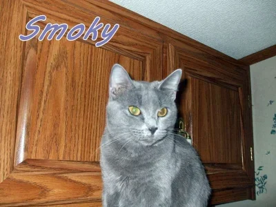 smoky.webp