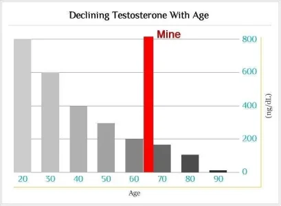 testosterone.webp