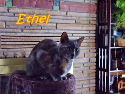 ethelfeb2011 (small).webp
