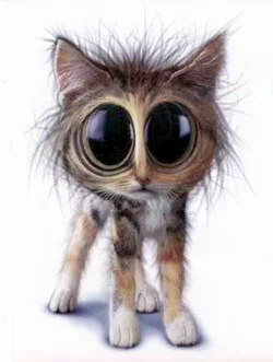 FrazzledCat250forblog.webp