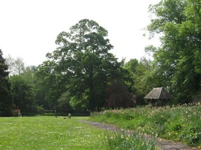Benthall Churchyard.webp