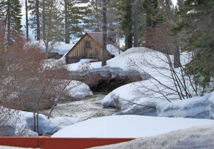 Cabin_edited-1.webp