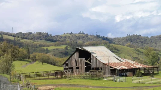 Barn_edited-2.webp