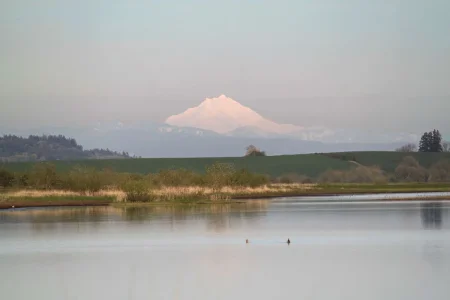 Mt Jefferson.webp