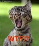 th_wtf.webp
