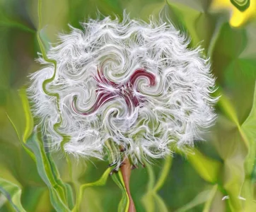Dandelion 1_edited-4.webp