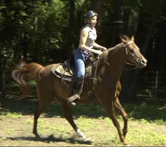 Karma canter.webp