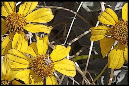 flowers 2.webp flowers 2.webp