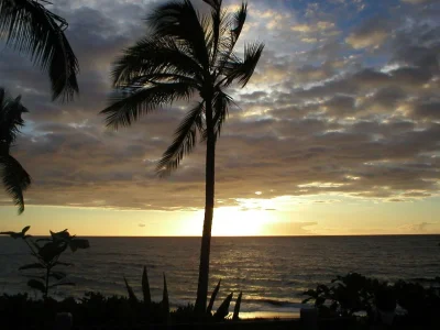 P2270112.webp
