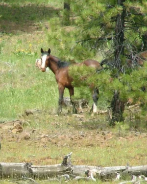 DSCF0692.webp