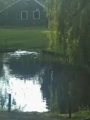 water.webp