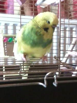 Photo0004.webp