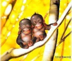 smile5.webp smile5.webp
