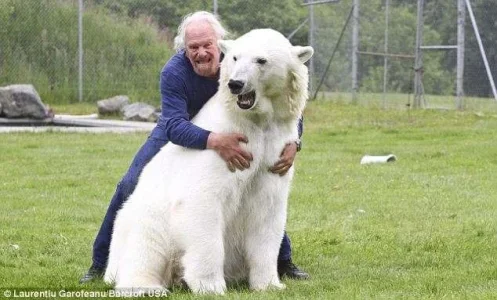 bear hugs.webp