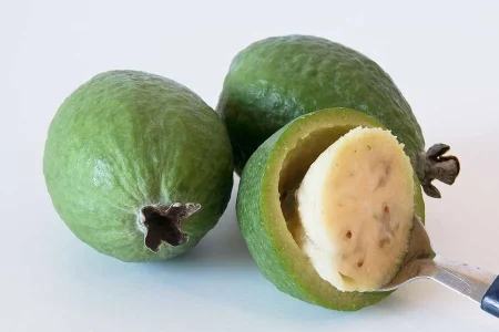Pineapple-guava1.webp