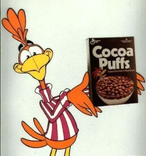 coocoo-bird.webp