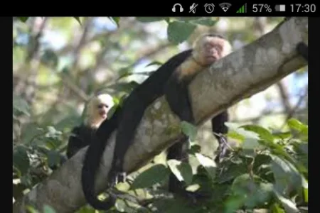 Screenshot_2016-01-20-17-30-37.webp