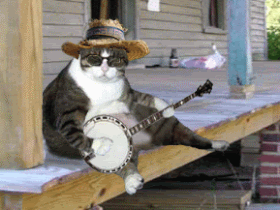 bth_CATBANJO.gif