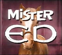 250px-Mister_Ed.webp
