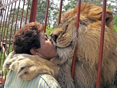 lion-hug-ana-600x450.webp