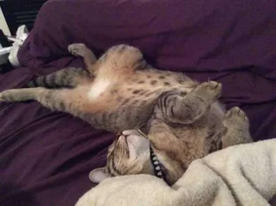 FB_IMG_1455989175445.webp