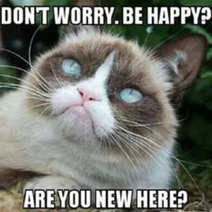 grumpy3.webp
