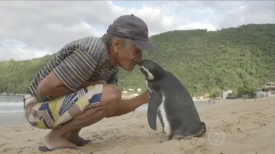 aa-penguin-called.webp