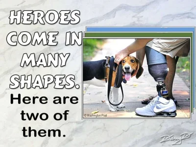 PTSD Heroes Shapes Park Bench by Darry D.webp