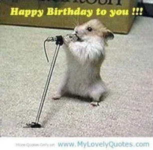 Image - Funny-happy-birthday-quotes-1-1-_jpg - Whatever you want Wiki.webp