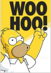 let us celebrate with homer simpson woo hoo graphic.PNG