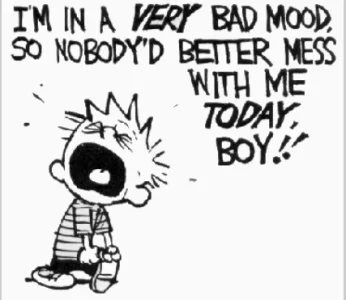 calvin in a bad mood.webp