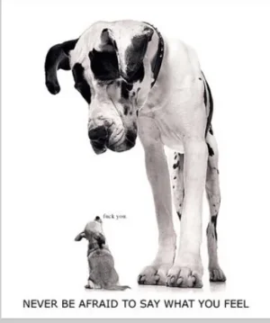 fun quote about a big dog and a tiny dog saying how you feel.webp