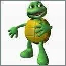 Turtle-Boy-Socute-Ithurts-284091.webp