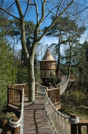 treehouse2.webp