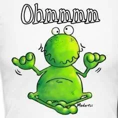Ohmmm-Frosch----Yoga---Buddha---T-Shirt.webp