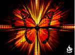 butterfly3.PNG