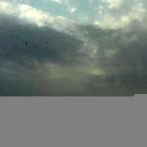 IMG_201605151_075533.webp